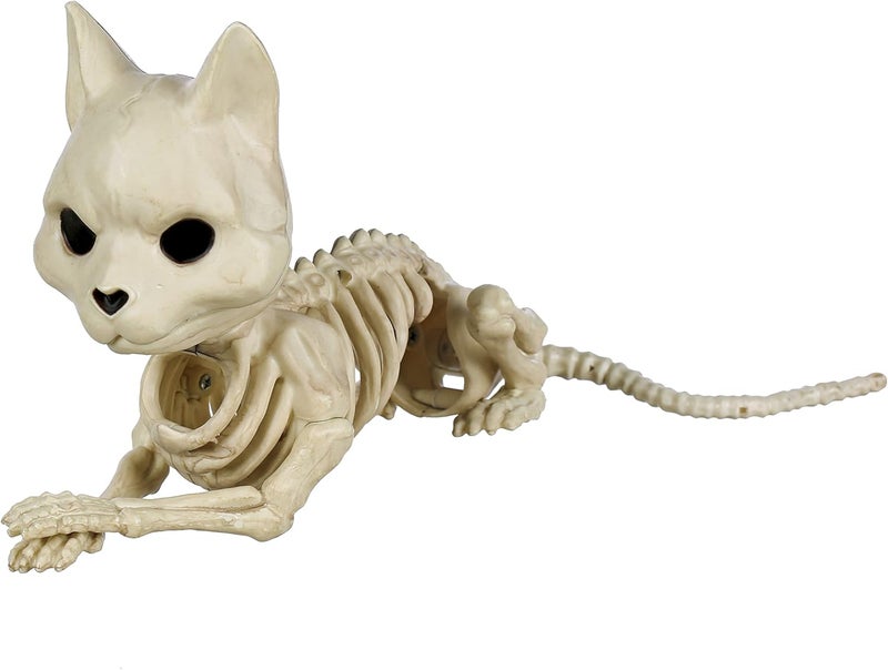 Crazy Bonez Cute Skeleton Cat - Image 1